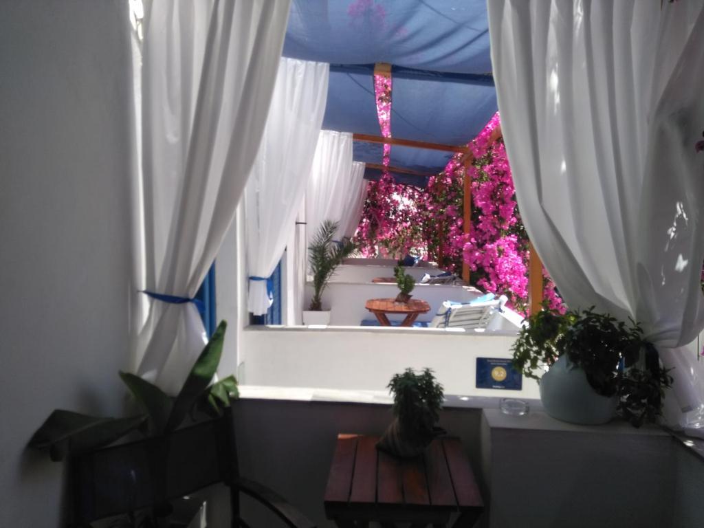 Doron Hotel Delfini room 5